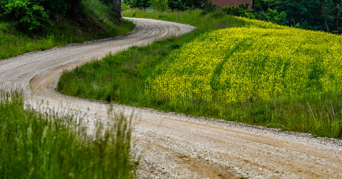 Itinéraire du rallye WRC de Pologne 2024